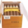 Cohiba Siglo IV