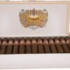 H. Upmann Half Corona