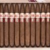 Hoyo de Monterrey Elegantes